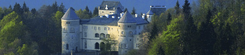 Gesellschaftsräume im Schloss